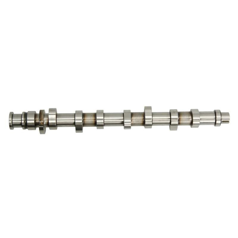 INA 428016110 Camshaft