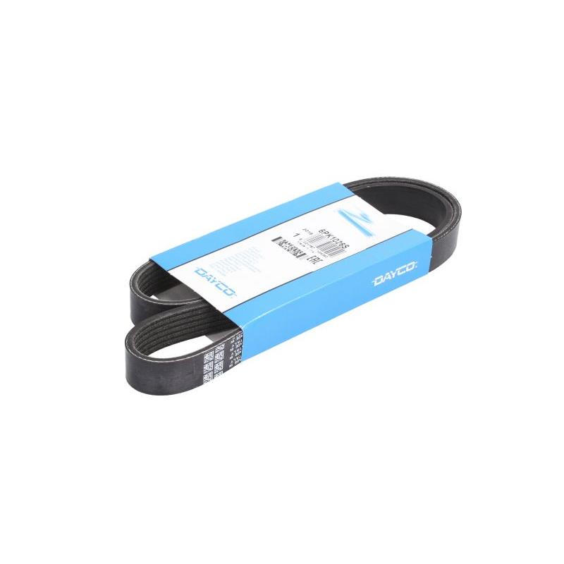 DAYCO DAY6PK1026S V-Ribbed Belt