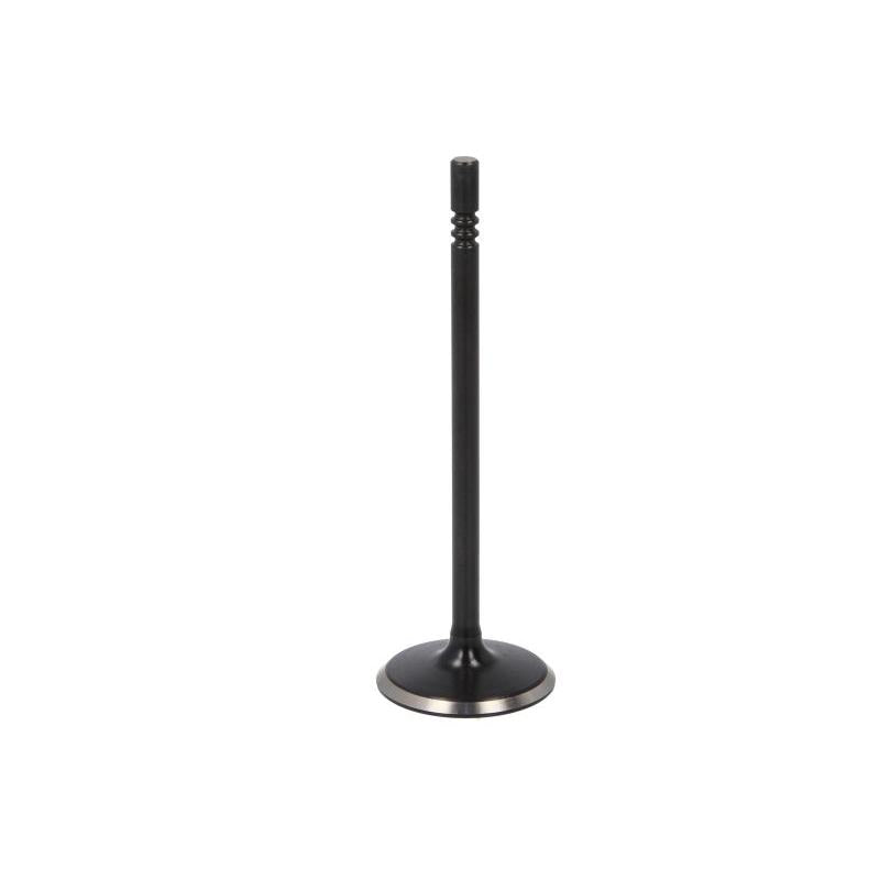 DNJ IV1169 Intake Valve