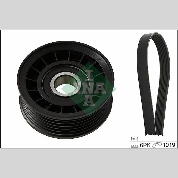 INA 529023210 V-Ribbed Belt Set