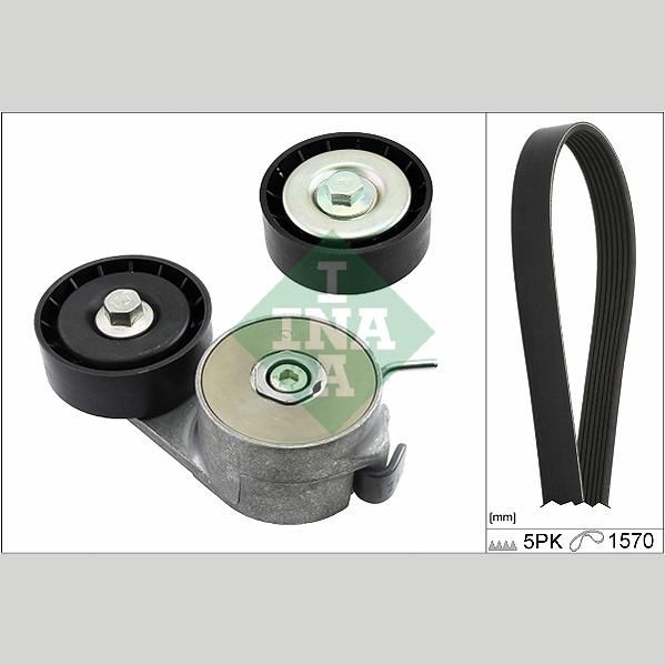 INA 529022310 V-Ribbed Belt Set