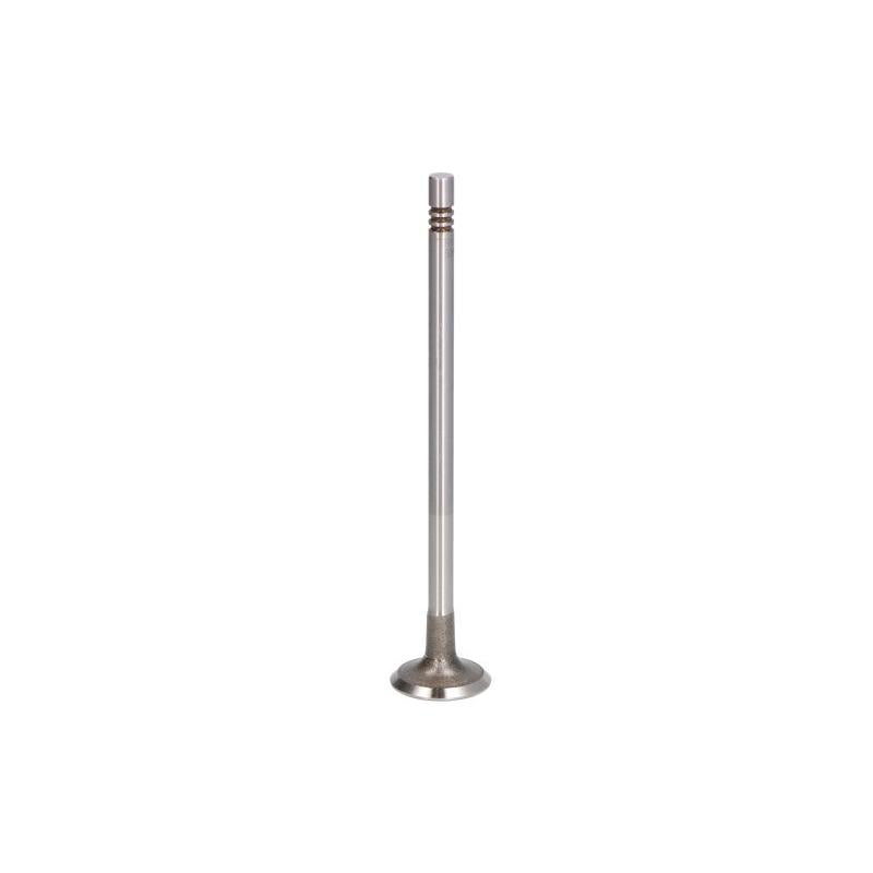 TRW 539029 Exhaust Valve