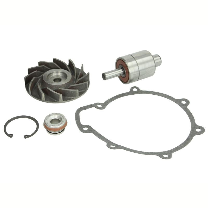THERMOTEC WP-MN111RK Water Pump Gasket Set