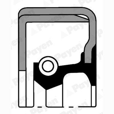 PAYEN NJ557 Wheel Hub Shaft Seal