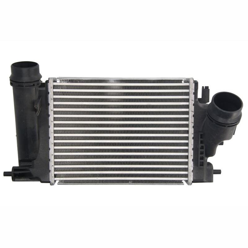 THERMOTEC DA1009TT Charge Air Cooler