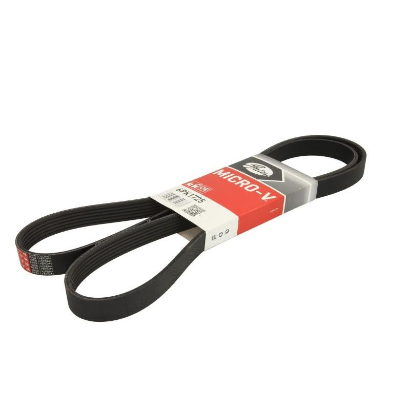 GATES GAT6PK1725 V-Ribbed Belt
