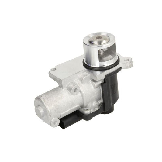 MEAT & DORIA MD88152E Egr Valve