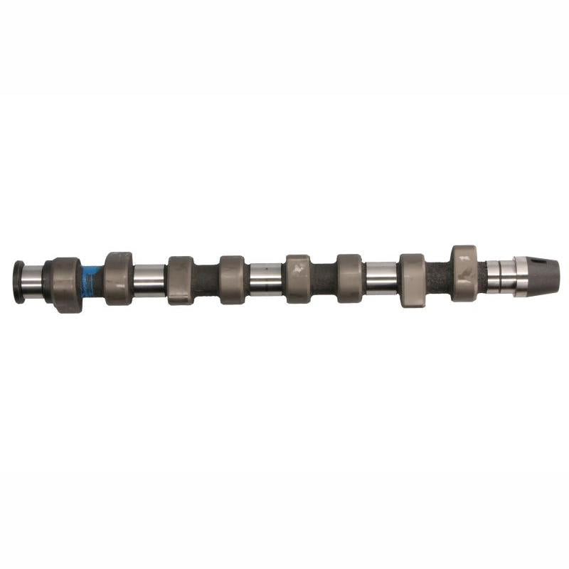 INA 428006410 Camshaft