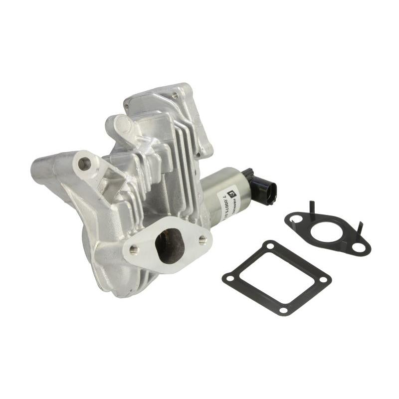 PIERBURG 7.00075.07.0 Egr Valve