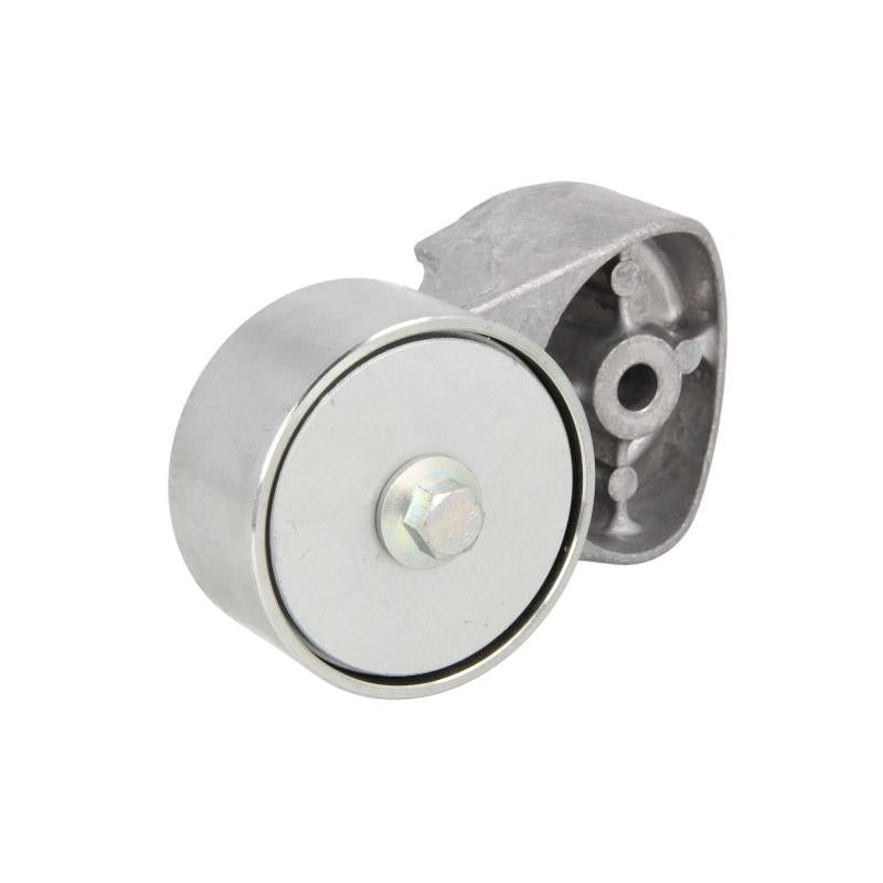 SKF VKMCV51006 V-Ribbed Belt Deflection/Guide Pulley