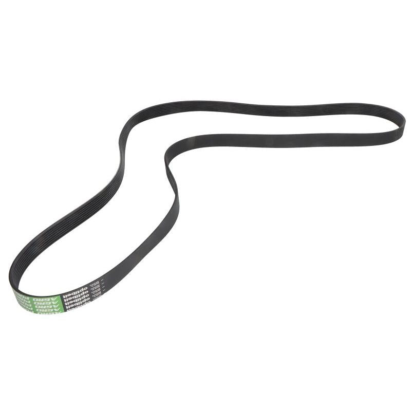 OPTIBELT 1003209AP V-Ribbed Belt