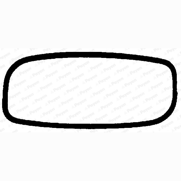 PAYEN JN013 Cylinder Head Cover Gasket