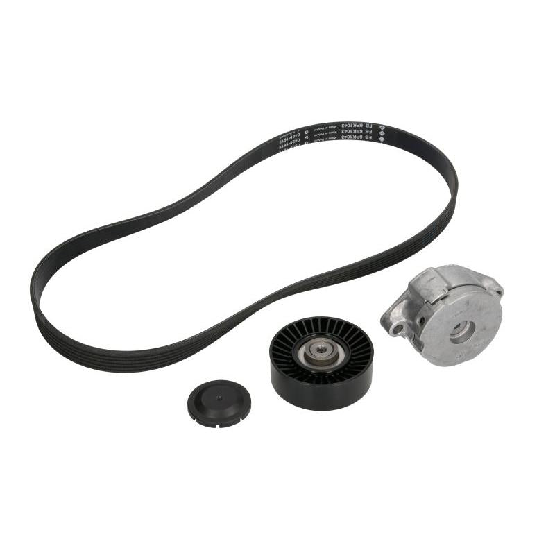 INA 529010210 V-Ribbed Belt Set