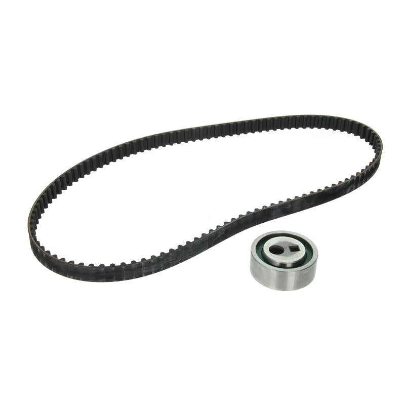 INA 530001610 Timing Belt Set