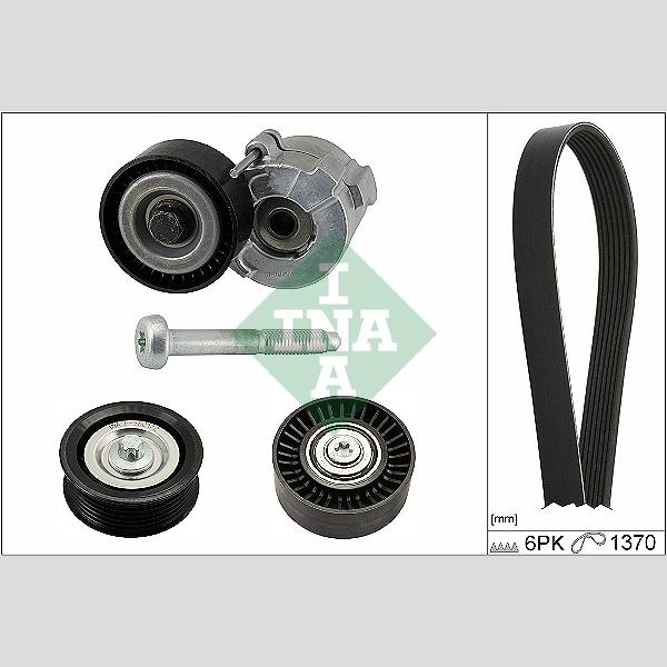 INA 529019010 V-Ribbed Belt Set