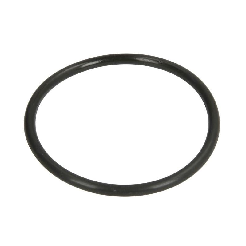 DT A/C 6.30069 Water Pump Gasket