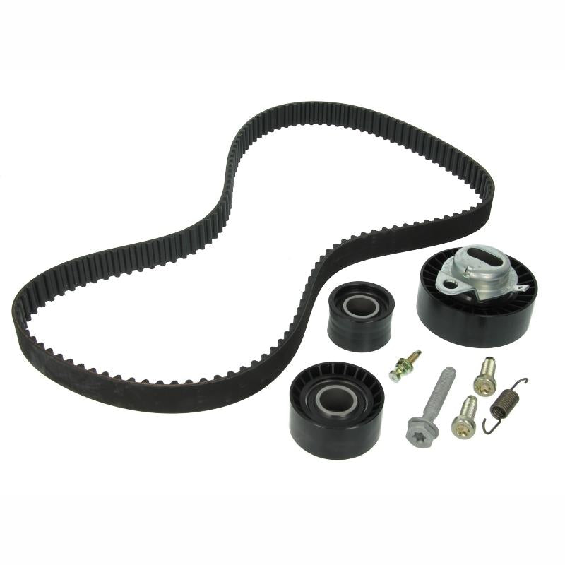 INA 530010210 Timing Belt Set