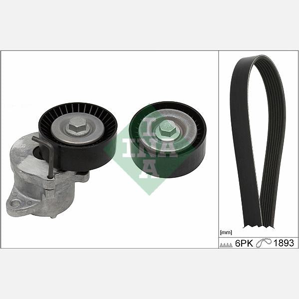 INA 529034910 V-Ribbed Belt Set