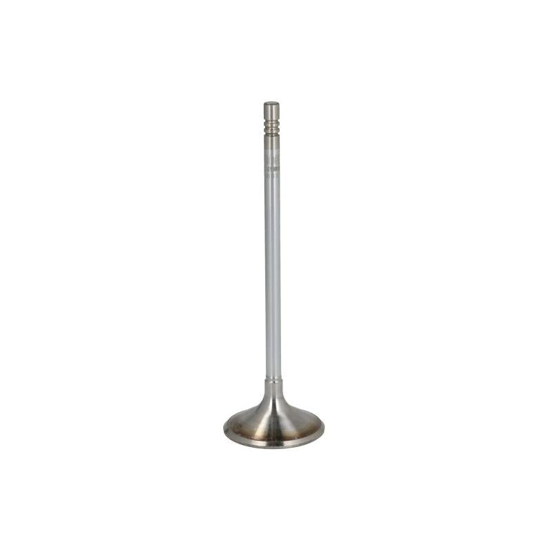 NE 147039000000 Intake Valve