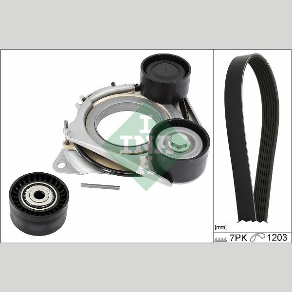 INA 529036310 V-Ribbed Belt Set