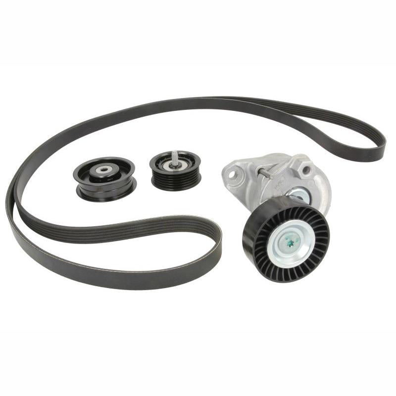 INA 529003410 V-Ribbed Belt Set