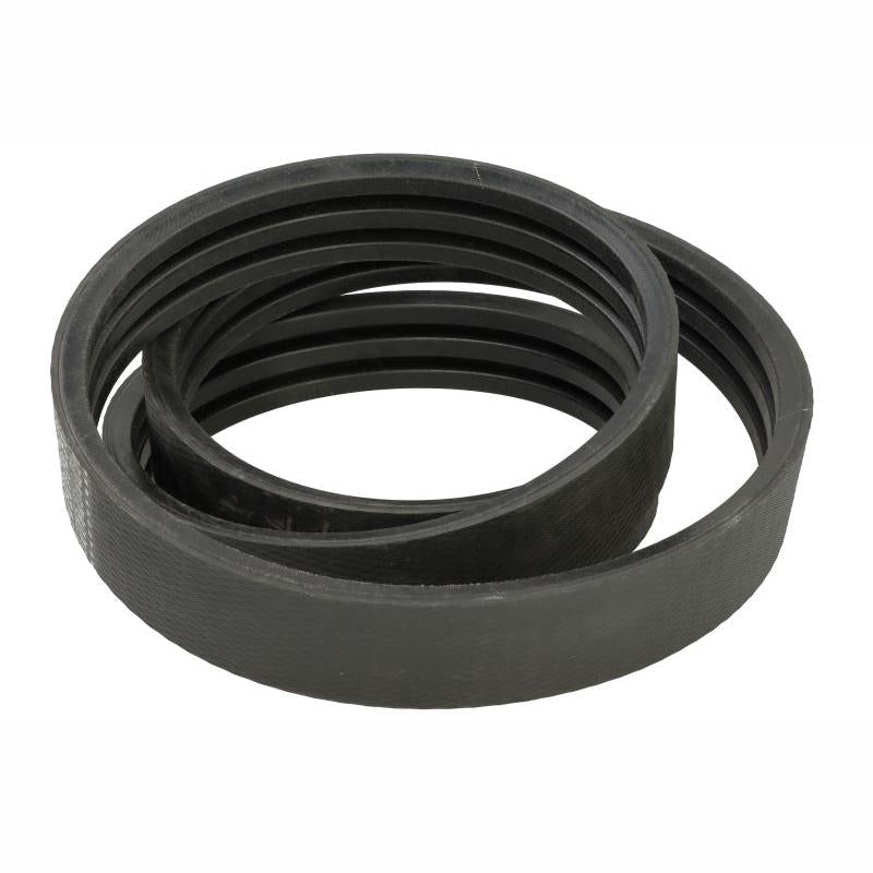 OPTIBELT 1003631AP V-Ribbed Belt