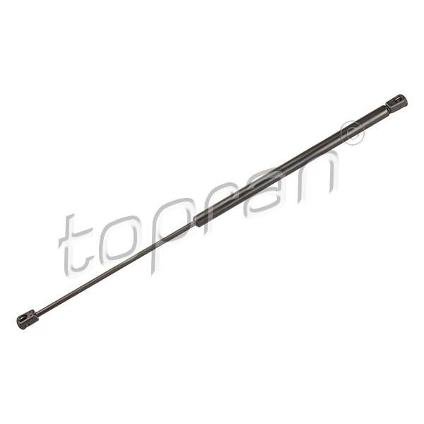 HANS PRIES HP721295 Boot/Cargo Area Gas Spring