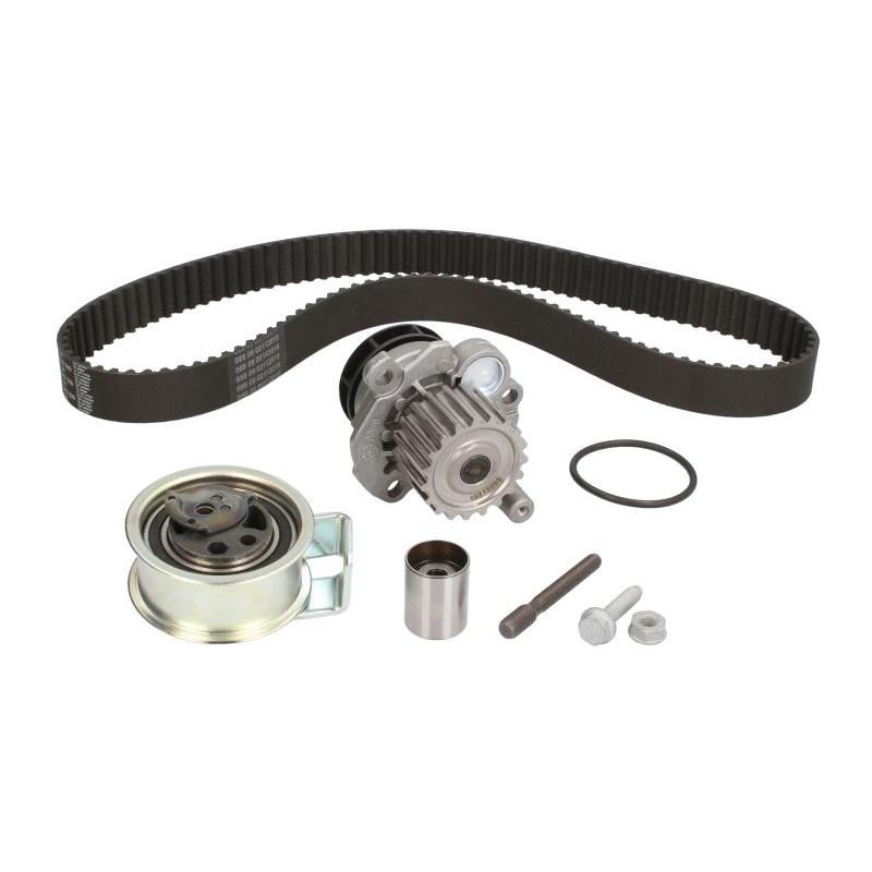 INA 530009131 Water Pump & Timing Belt Kit