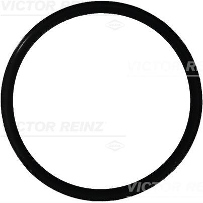 REINZ 40-76165-00 Seal Ring