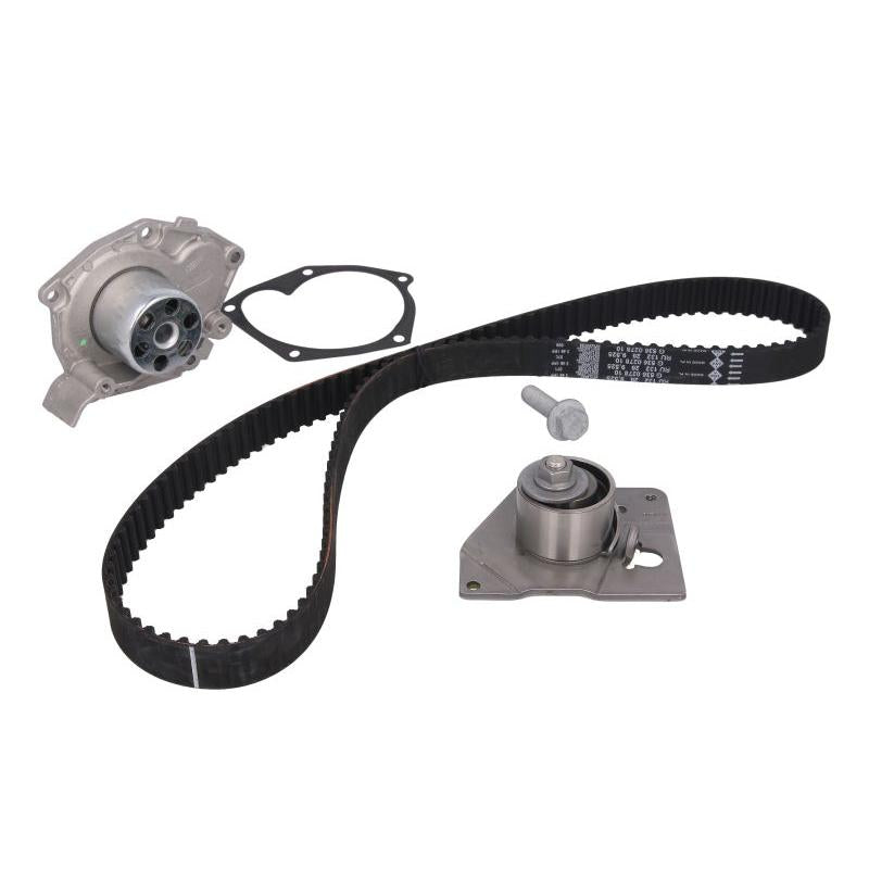 INA 530019630 Water Pump & Timing Belt Kit