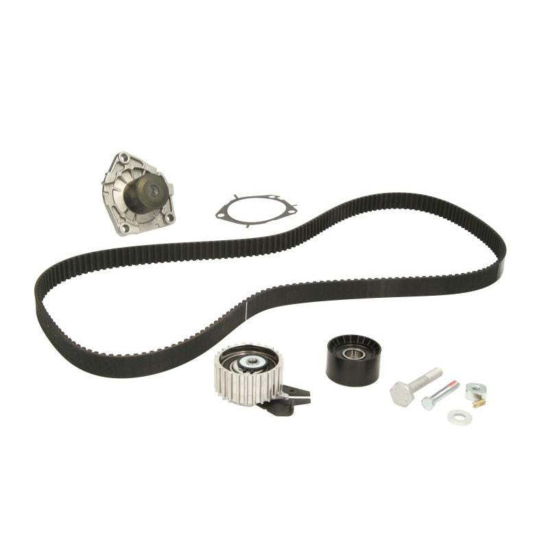 INA 530056230 Water Pump & Timing Belt Kit