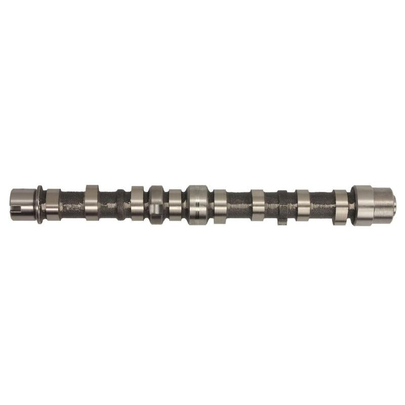 INA 428010310 Camshaft
