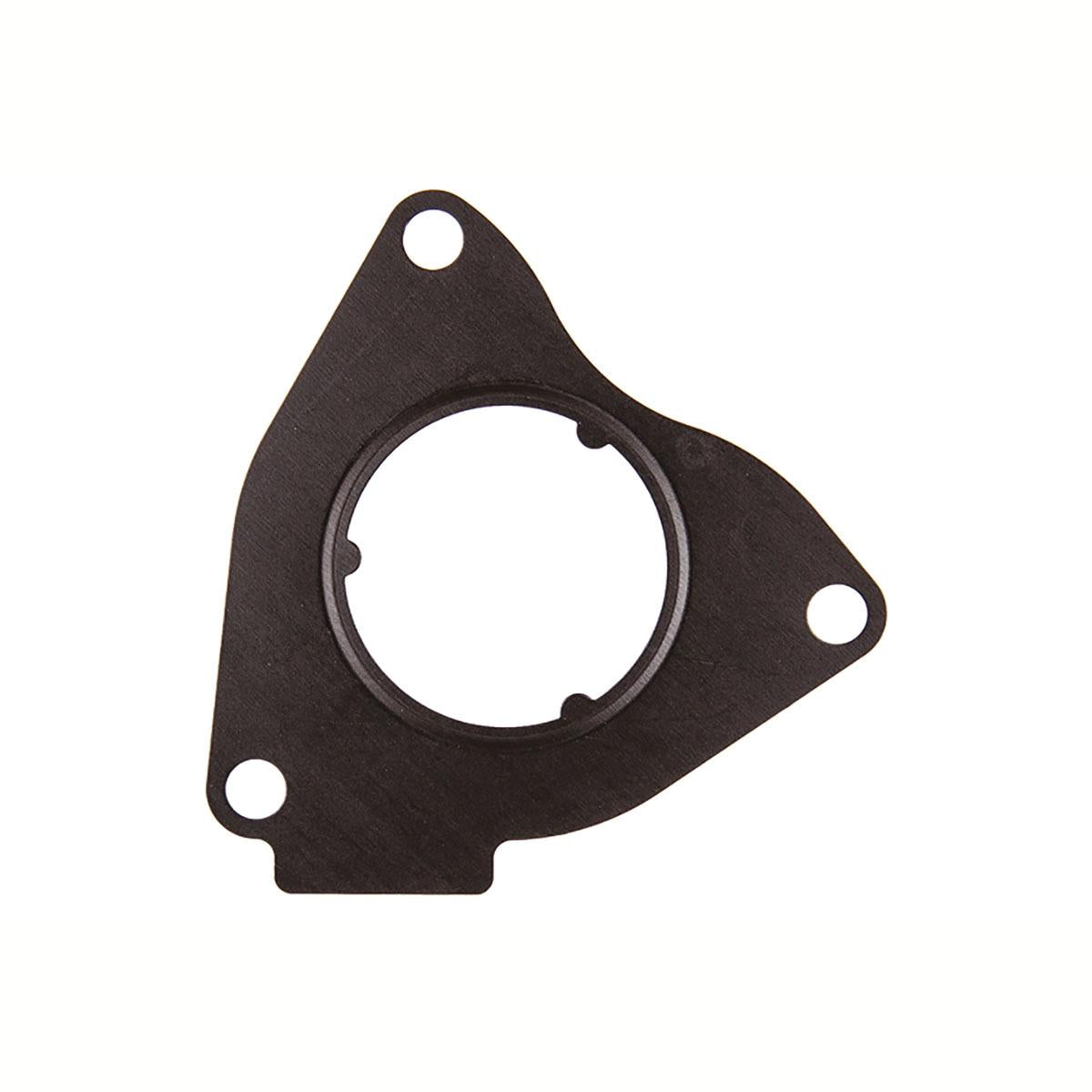 VDO A2C59516961 Egr Valve Gasket