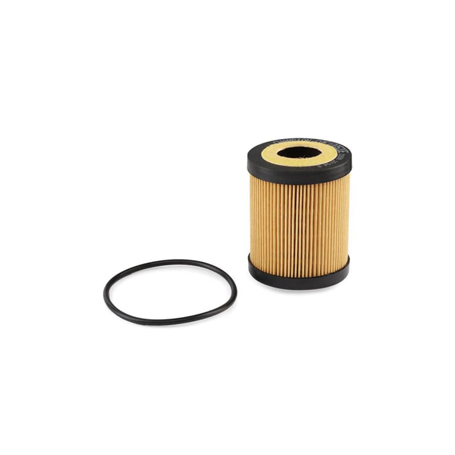 Champion Eon Titan Cof100520E Oil Filter