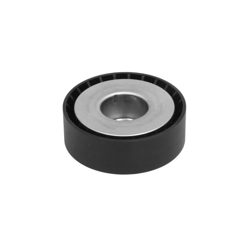 INA 531073410 V-Ribbed Belt Tensioner Pulley