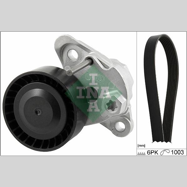 INA 529020810 V-Ribbed Belt Set