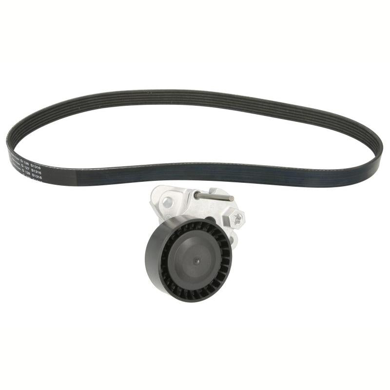INA 529015910 V-Ribbed Belt Set
