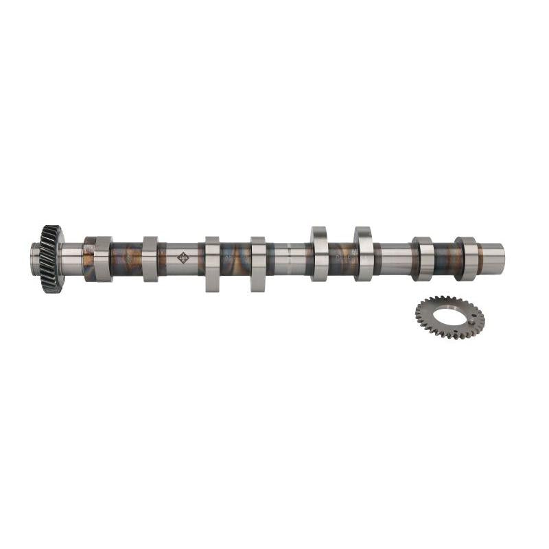 INA 428009710 Camshaft