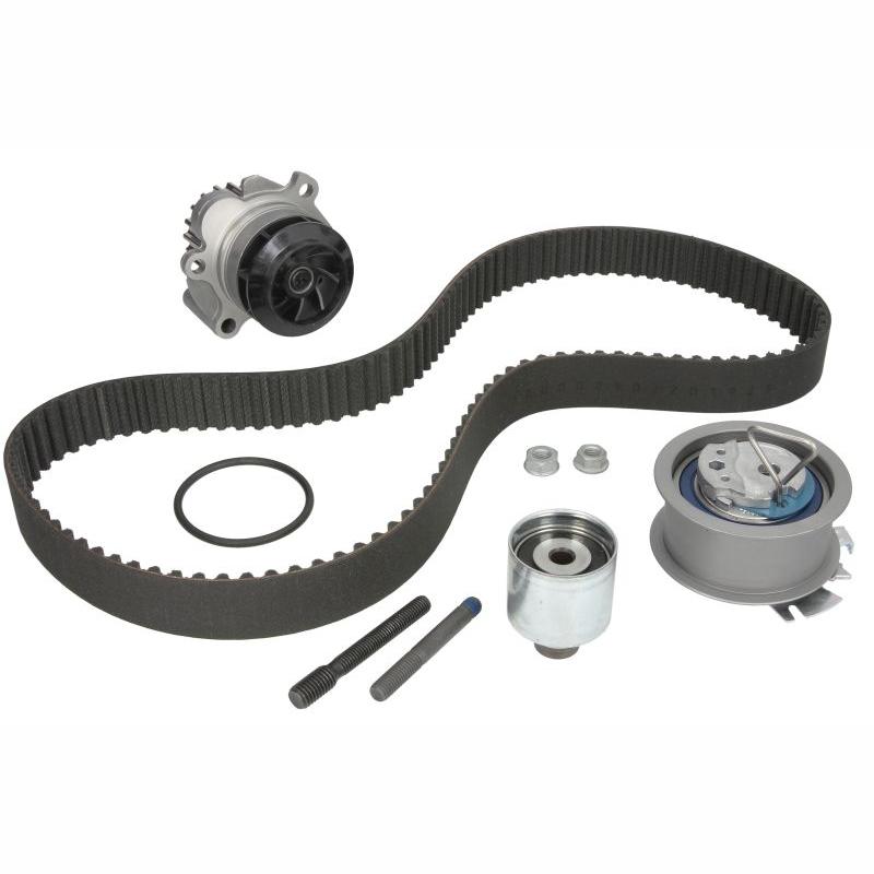 INA 530020132 Water Pump & Timing Belt Kit