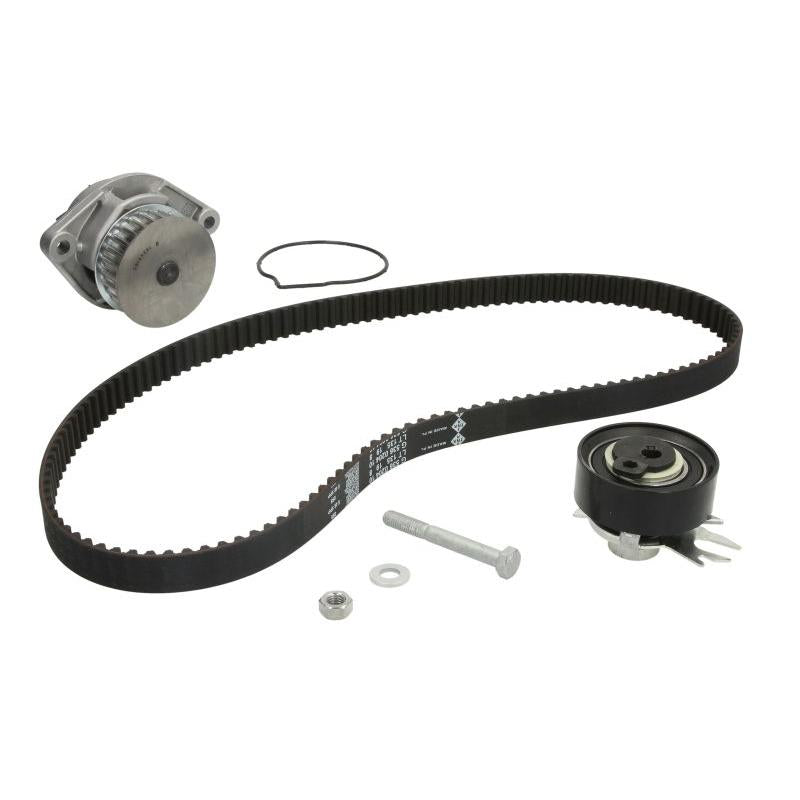 INA 530016631 Water Pump & Timing Belt Kit