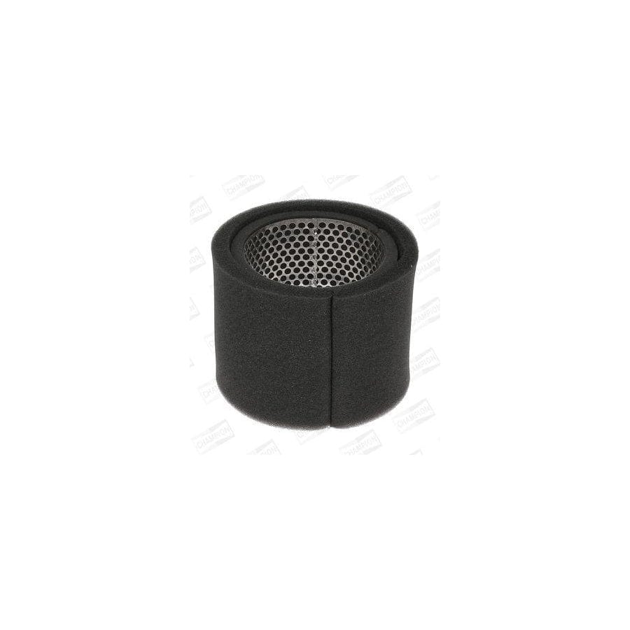 Champion Caf100117R Air Filter