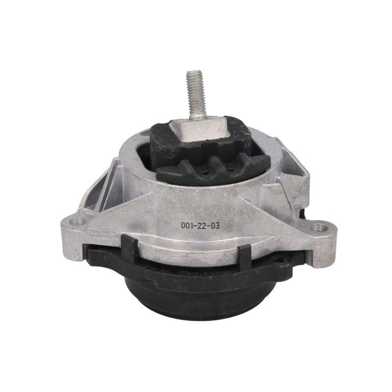 REINHOCH RH113113 Engine Mount