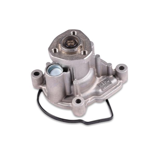 HEPU P581 Water Pump