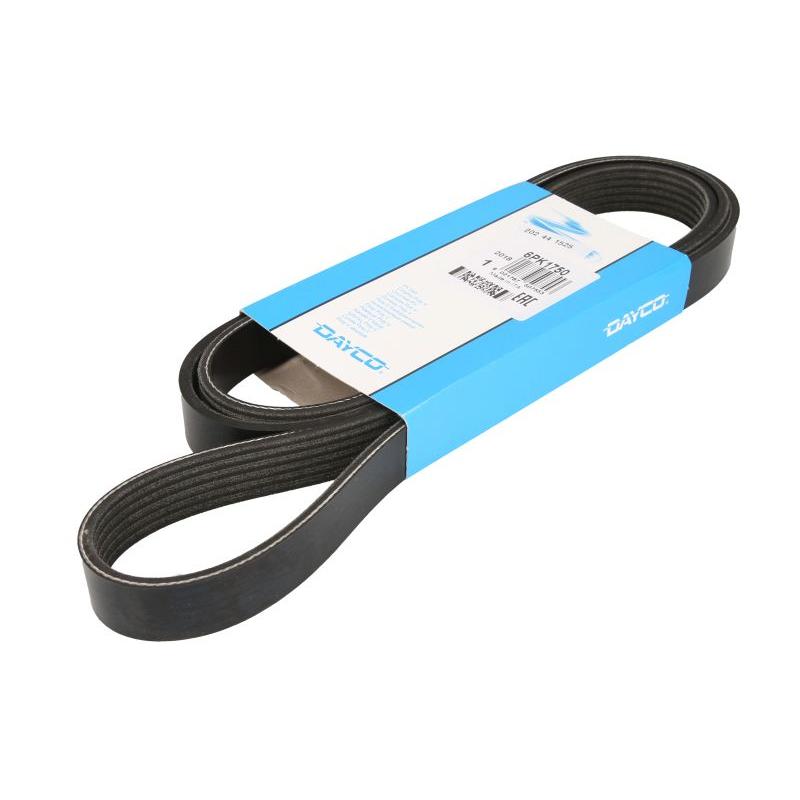 DAYCO DAY6PK1750 V-Ribbed Belt