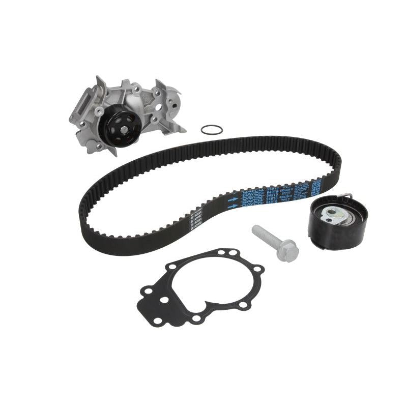 INA 530019530 Water Pump & Timing Belt Kit