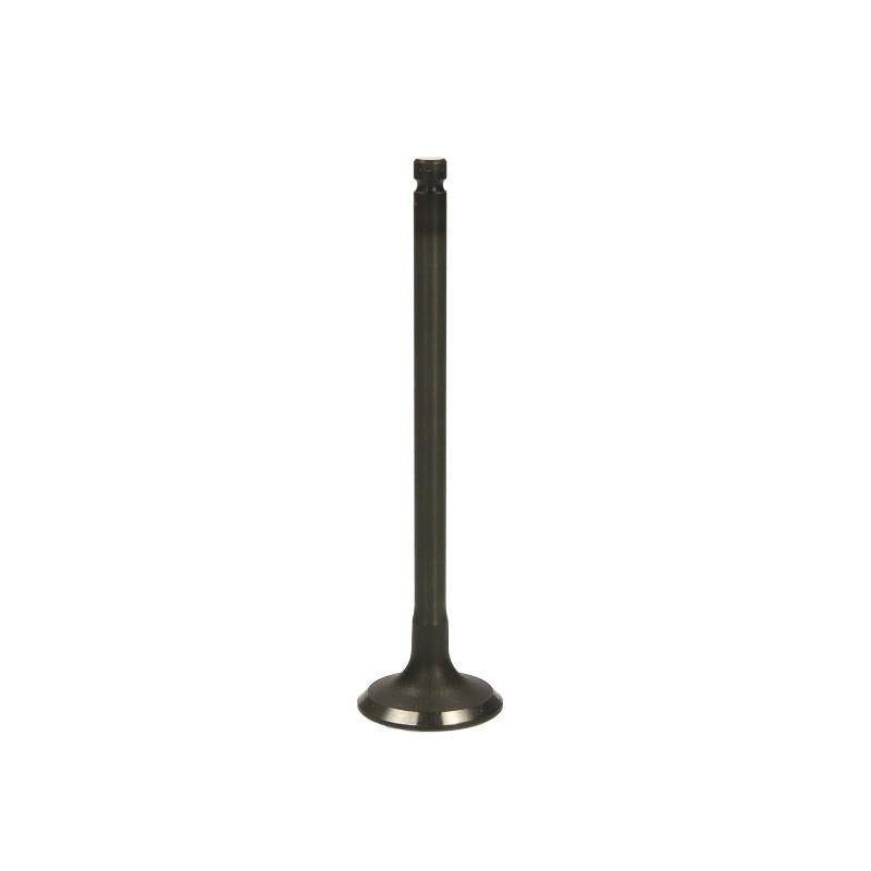 FRECCIA 6224/SNT Intake Valve