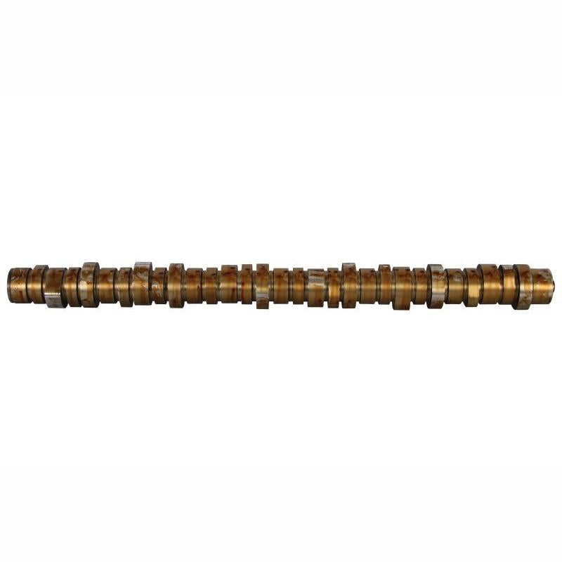 BF 20100413001 Camshaft