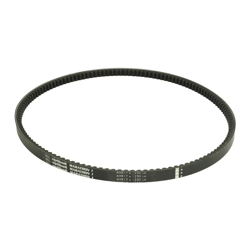 OPTIBELT 17X1250AVX V-Belt
