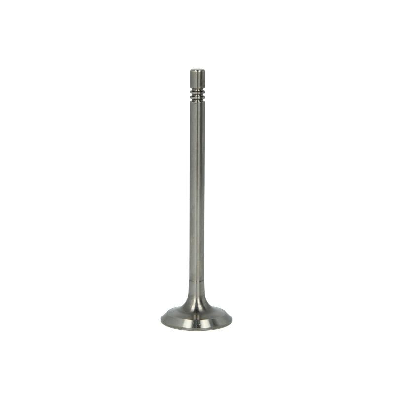 PARADOWSCY PSEA063 Exhaust Valve