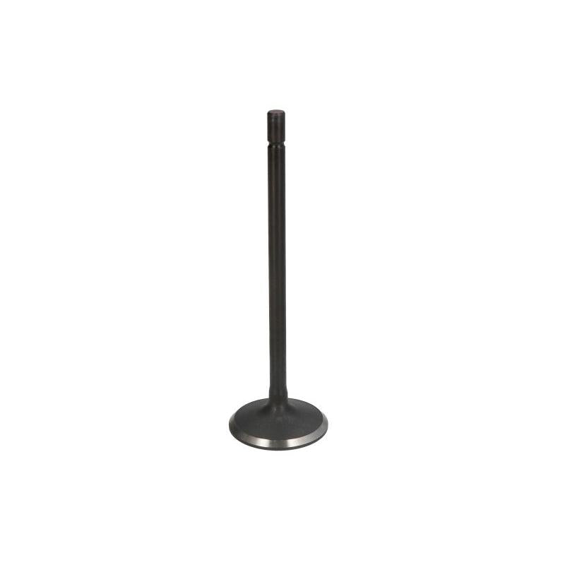 FRECCIA 6823/SNT Intake Valve